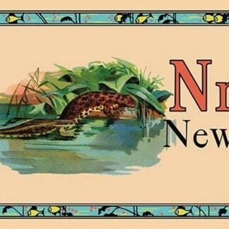 N is for Newt