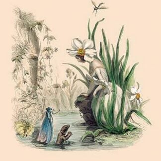 Narcisse by J.J. Grandville