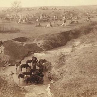 Native American Encampment - Lakota Indians by John C.H. Grabill