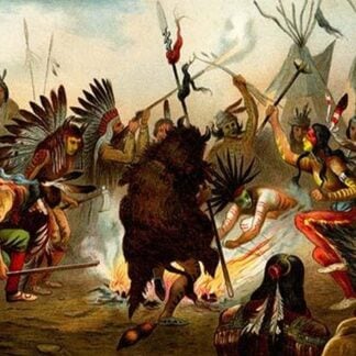 Native American Sioux Dance