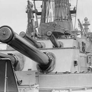 Naval Guns on the Battleship Michigan
