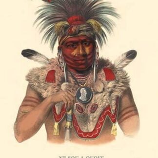 Ne Sou a Quoit (A Fox Chief) by Mckenney & Hall