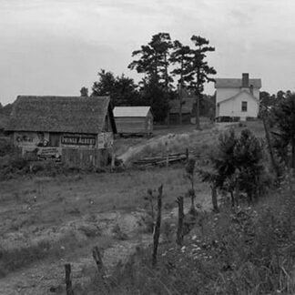 Negro Sharecropper Farm by Dorothea Lange