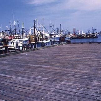 New Bedford Fishing Boats by William B. Folsom