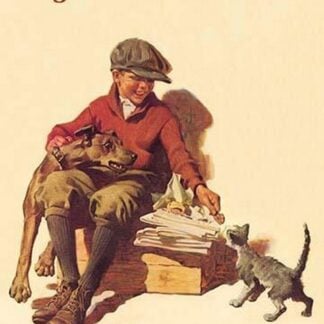 Newsie by Frederic Stanley