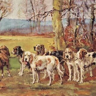 Nivernais Griffons by Baron Karl Reille