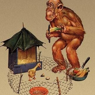 No Wise Quacks Please by Lawson Wood