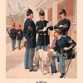 Non-Commissioned Officers