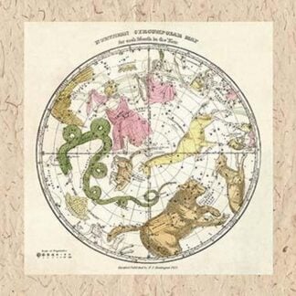Northern Circumpolar Map by W. G. Evans