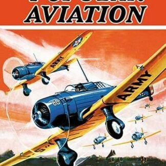 Northrop A-17 Attacks