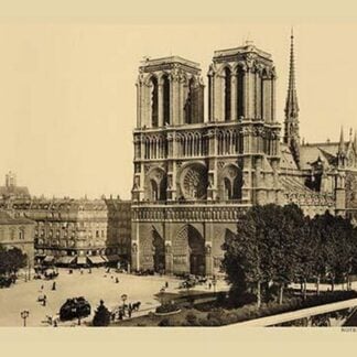 Notre-Dame (Fore Front)