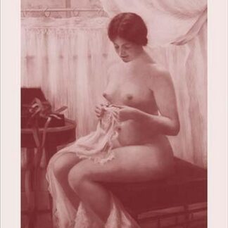 Nude in the Parlor by M. Everart