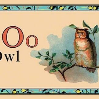 O is for Owl