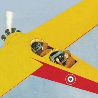 Observation Plane Spots Cruise Ship