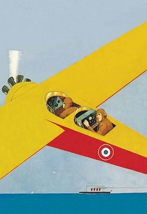 Observation Plane Spots Cruise Ship