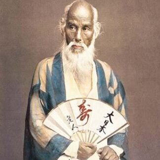 Old Man with a Fan by Von Stillfried