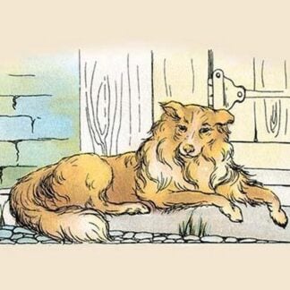 Old Prince by Frances Beem