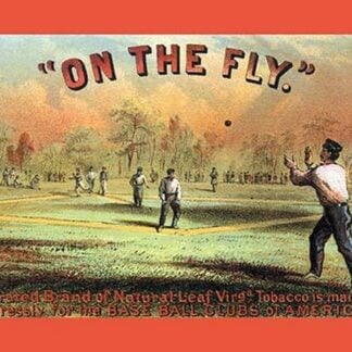 On the Fly by Major & Knapp