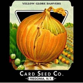 Onion - Yellow Globe Danvers