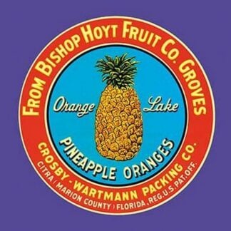 Orange Lake Brand Pineapples