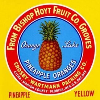 Orange Lake Pineapple Oranges #2