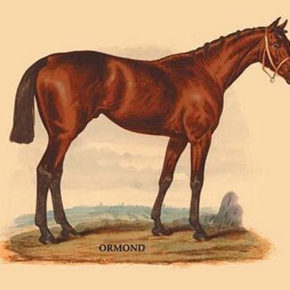 Ormond by L. Penicaut