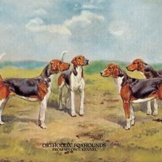 Orthodox Foxhounds by Thomas Ivester Lloyd