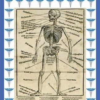 Orthopedics by Paracelsus
