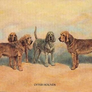 Otter Hounds by Thomas Ivester Lloyd