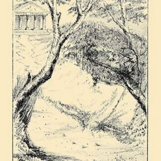 Our Next President by Malt Bitter Company