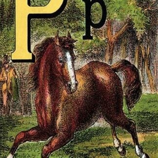 P for the Pony that plays in the Park by Edmund Evans