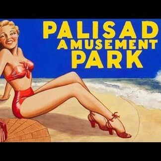 Palisade Amusement Park by Cardwell Higgins