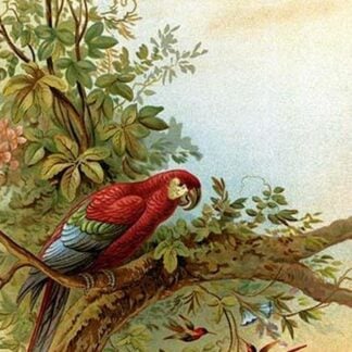 Parrot in a tree above Hummingbirds by Anton Hochstein