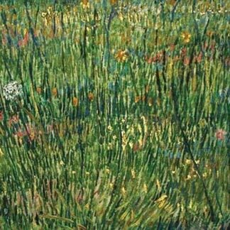 Patch of Grass by Vincent van Gogh