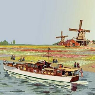 Peacock III 72' by Douglas Donald