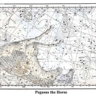 Pegasus the Horse by Alexander Jamieson