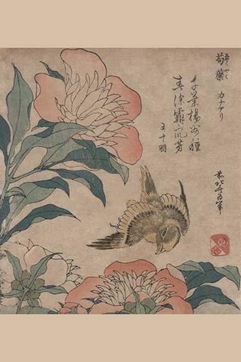 Peony & Canary by Katsushika Hokusai