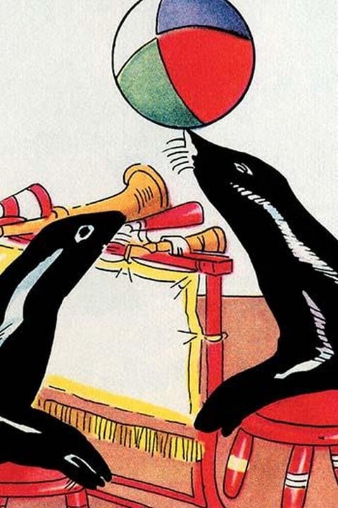 Performing Circus Seals by Julia Letheld Hahn