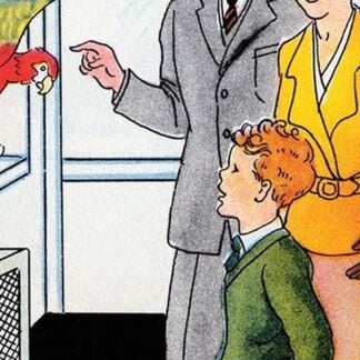 Pet Shop Parrot by Julia Letheld Hahn