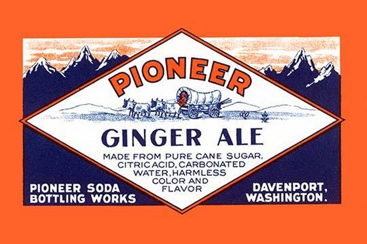 Pioneer Ginger Ale