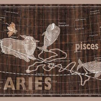 Pisces and Aries #2