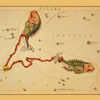 Pisces by Jehosaphat Aspin