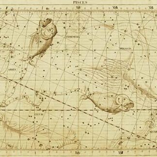 Pisces by Sir John Flamsteed