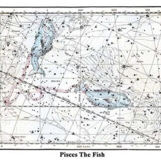 Pisces the Fish by Alexander Jamieson