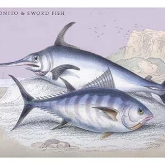 Plain Bonito and Swordfish by Robert Hamilton