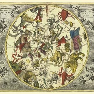 Planisphaerium Stellatum Boreale by Andreas Cellarius