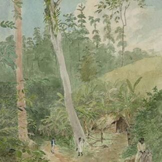 Plantain Walk - Bookkeeper - Watchman and Hut - man with casks of water