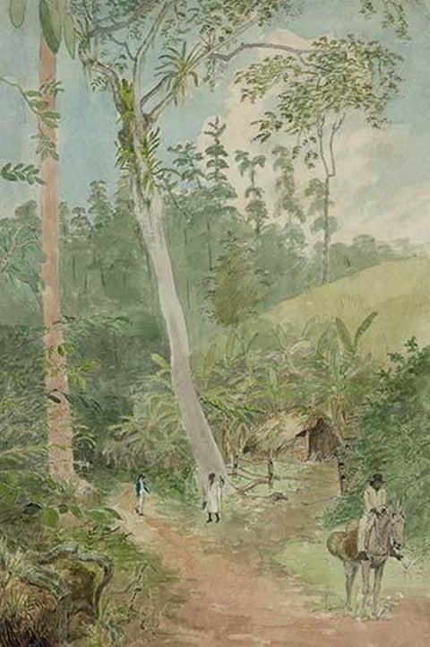 Plantain Walk - Bookkeeper - Watchman and Hut - man with casks of water