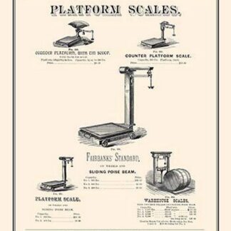Platform Scales
