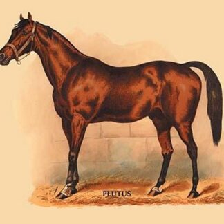 Plutus by L. Penicaut